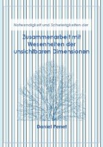 Zusammenarbeit mit Wesenheiten der unsichtbaren Dimensionen