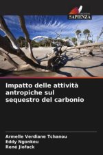 Impatto delle attivit? antropiche sul sequestro del carbonio