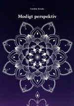 Modigt perspektiv