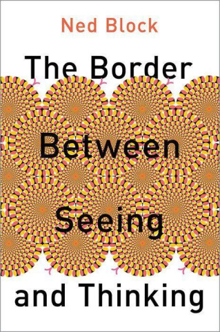 Border Between Seeing and Thinking