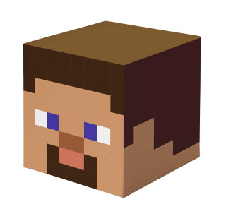 Minecraft: Steve Block Stationery Set