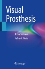 Visual Prosthesis