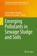 Emerging Pollutants in Sewage Sludge and Soils
