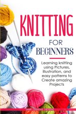 Knitting for Beginners