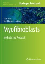 Myofibroblasts