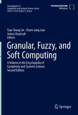 Granular, Fuzzy, and Soft Computing