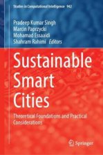 Sustainable Smart Cities