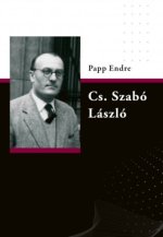 Doveri átkelés, Magyar néző, Fegyveres Európa