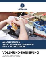 VOLLMUND-SANIERUNG