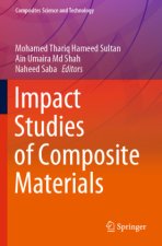 Impact Studies of Composite Materials