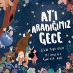 Ayi Aradigimiz Gece