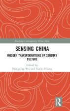 Sensing China