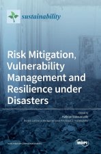 Risk Mitigation, Vulnerability Management and Resilience under Disasters