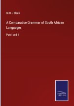 Comparative Grammar of South African Languages