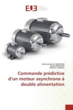 Commande prédictive d?un moteur asynchrone ? double alimentation