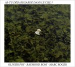 As-tu déjà regardé dans le ciel ?
