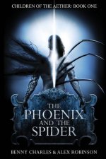 Phoenix and the Spider