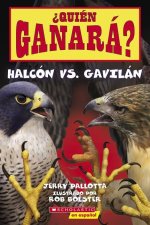 ?Quién Ganará? Halcón vs. Gavilán (Who Will Win? Falcon vs. Hawk)