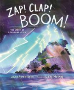 Zap! Clap! Boom!: The Story of a Thunderstorm