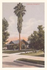 Vintage Journal California Bungalow