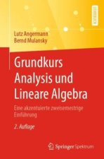 Grundkurs Analysis und Lineare Algebra