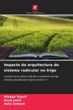 Impacto da arquitectura do sistema radicular no trigo