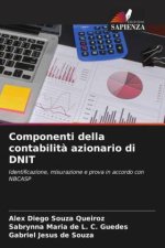Componenti della contabilit? azionario di DNIT