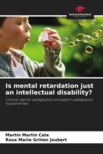 Is mental retardation just an intellectual disability?