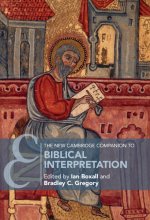New Cambridge Companion to Biblical Interpretation