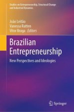 Brazilian Entrepreneurship
