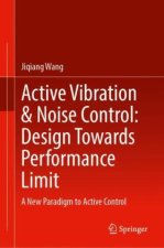 Active Vibration & Noise Control: Design Towards Performance Limit