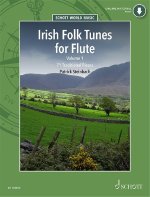 PATRICK STEINBACH : IRISH FOLK TUNES FOR FLUTE VOLUME 1 - RECUEIL + ENREGISTREMENT(S) EN LIGNE