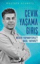 Cevik Yasama Giris