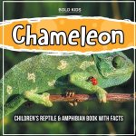 Chameleon