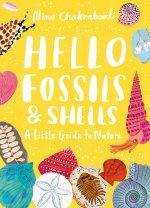 HELLO SHELLS AND FOSSILS