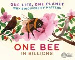 ONE LIFE ONE PLANET ONE BEE IN A BILL