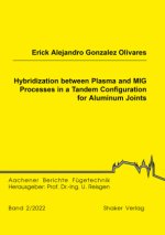 Hybridization between Plasma and MIG Processes in a Tandem Configuration for Aluminum Joints