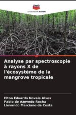 Analyse par spectroscopie ? rayons X de l'écosyst?me de la mangrove tropicale