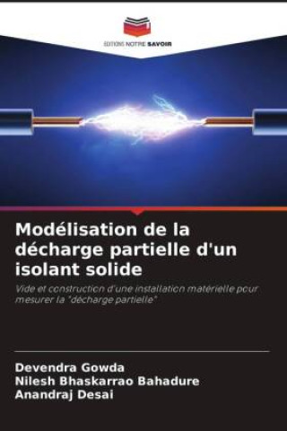 Modélisation de la décharge partielle d'un isolant solide