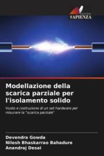 Modellazione della scarica parziale per l'isolamento solido