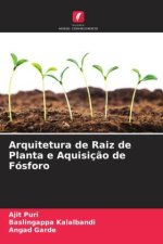 Arquitetura de Raiz de Planta e Aquisiç?o de Fósforo