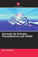 Geraç?o de Energia Piezoeléctrica por DSSH