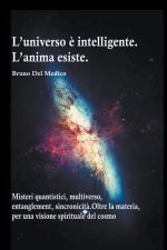 L'universo e intelligente. L'anima esiste. Misteri quantistici, multiverso, entanglement, sincronicita. Oltre la materia, per una visione spirituale d
