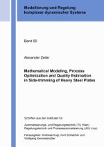 Mathematical Modeling, Process Optimization and Quality Estimation in Side-trimming of Heavy Steel Plate