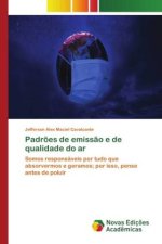 Padr?es de emiss?o e de qualidade do ar