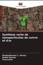 Synth?se verte de nanoparticules de cuivre et d'or
