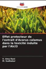 Effet protecteur de l'extrait d'Acorus calamus dans la toxicité induite par l'Alcl3
