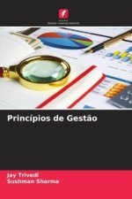 Princípios de Gest?o