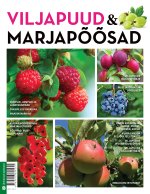 Viljapuud ja marjapõõsad