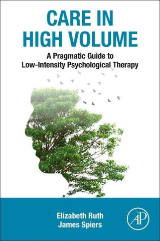 Pragmatic Guide to Low Intensity Psychological Therapy
